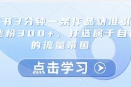 小红书3分钟制作一条作品 精准引流创业粉300+实操指南