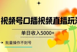 视频号实拍口播直播玩法详解 稳定运营单日可赚5000+不封号
