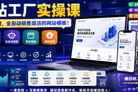 网站工厂实操课教程 无需客服销售网站模板自动赚钱方法
