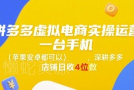 拼多多虚拟电商实操运营方法 仅需手机即可上手新手也能盈利
