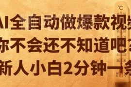 AI全自动制作爆款原创视频教程 新手2分钟即可完成单条制作