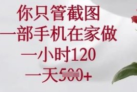 适合新手的手机截图副业详解 在家可做无门槛操作简单
