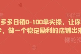 2024拼多多日销0-100单实操教程 新手打造稳定盈利店铺指南