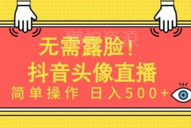 无需露脸的AI头像直播项目玩法 低门槛操作可实现稳定收益
