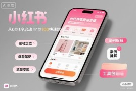 小红书电商运营实战教程 从0冷启动到规模化增长全流程教学