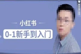 0基础可学小红书电商实操课 掌握平台规则人群属性运营玩法