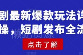2025短剧最新爆款玩法实操教程 短剧发布全流程详解