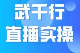 武千行直播实操课：账号定位搭建选品到起号全流程教程