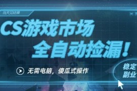 CSGO饰品全自动挂机捡漏赚钱教程 手机即可操作包教包会