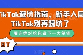 新手入局TikTok避坑指南 跨境电商运营常见雷区汇总