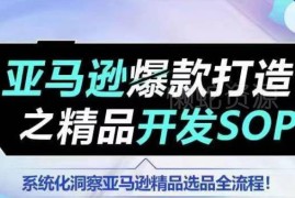 亚马逊爆款打造训练营 精品开发SOP及选品全流程详解