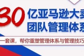 30亿级亚马逊大卖团队管理体系 可落地招聘绩效激励实操技巧