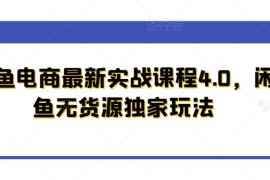 闲鱼电商实战课程4.0 无货源运营全流程独家实操玩法教学
