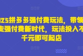 2025拼多多强付费运营玩法 千元以内低投入即可快速实现新店起店
