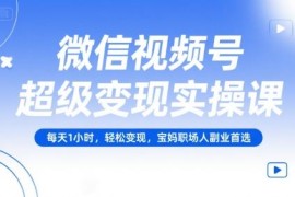 微信视频号变现实操课 零基础宝妈职场人副业每日1小时可落地