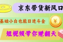京东短视频带货代运营实操秘籍 零基础可上手的增收方法