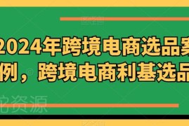 2024跨境电商利基选品案例合集 北美多类目蓝海选品指南
