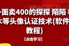 原售价400元 探探陌陌积木等平台头像认证技术附教程软件