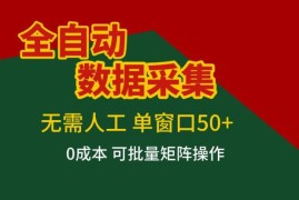 全自动无人工数据采集项目介绍 0成本可批量操作单窗口收益50+