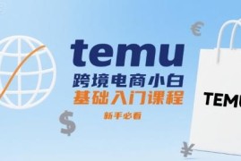 Temu跨境电商零基础入门课程 新手开店运营全流程教学