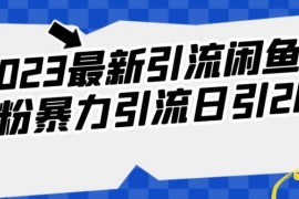 2023闲鱼创业粉引流实操方法 日引200+操作全解析