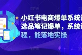 2024小红书电商爆单系统课 涵盖选品运营开店全流程实操