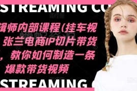 张兰电商IP切片带货培训课程 11月更新挂车视频剪辑实操教程