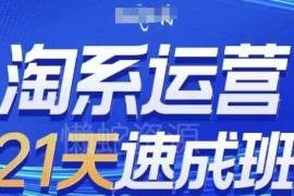 2026年2月更新 0基础21天淘系运营速成可落地实操教程