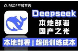 2025年DeepSeek R1大模型低训练成本本地安装部署教程资源