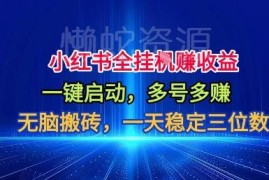 小红书全自动掘金项目玩法解析 单机收益与操作要点说明