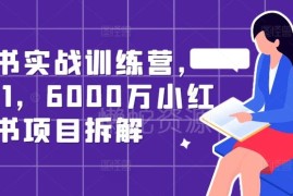 小红书从0到1运营实战训练营 6000万级实操项目全链路拆解