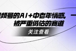 视频号AI+中老年情感赛道详解 被低估的低竞争创业方向