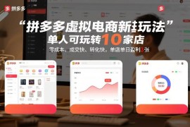 拼多多虚拟电商实操玩法 单人可运营10家店零成本高收益教程