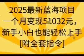 2025多平台短视频蓝海变现项目 新手易上手附全套操作指令