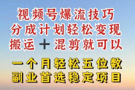 2024视频号高收益分成赛道 搬运混剪做原创及小红书爆流技巧