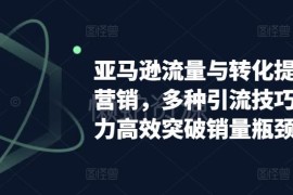亚马逊流量与转化提升实操指南 站内外引流技巧突破销量瓶颈