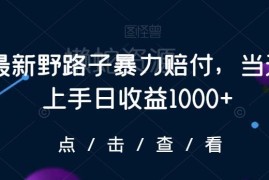 野路子暴力赔付灰色项目揭秘 商家防范避坑参考指南