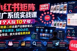 小红书矩阵运营实战课：单人控10号 AI批量二创 吃透算法SEO导流技巧