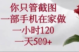 在家可做的手机截图副业项目揭秘 操作简单新手易上手