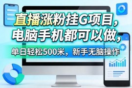 直播涨粉挂机项目玩法揭秘 手机电脑均可操作新手易上手