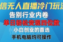 微信视频号无人直播冷门玩法 低门槛变现新手操作教程