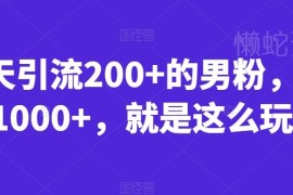 快手男粉引流变现实操玩法 单日引流200+可实现日赚千元