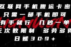 零门槛手机卡密搬运副业详解 可兼职可全职无次数限制多劳多得