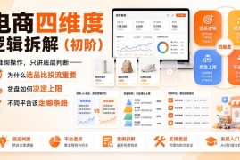 电商初阶四维度逻辑拆解 掌握选品货盘平台选择底层判断方法