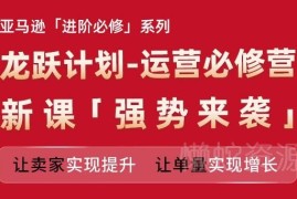 亚马逊龙跃计划运营必修营新课 助力卖家运营进阶单量增长