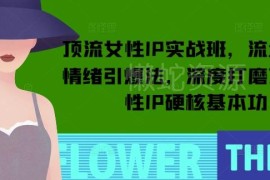 顶流女性IP打造实战教程 从定位流量到变现全流程学习指南