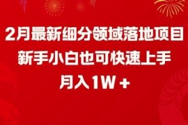 2025年2月失眠细分领域落地项目 新手易上手可月入1万