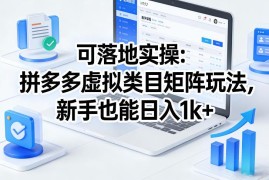 2025拼多多虚拟类目矩阵实操玩法 零经验新手可落地副业教程