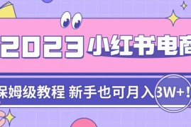 阿本小红书电商陪跑营4.0 新手从0到1做小红书电商实操教程