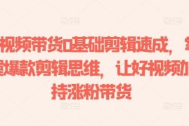 0基础短视频带货剪辑速成指南 掌握爆款思维助力涨粉带货